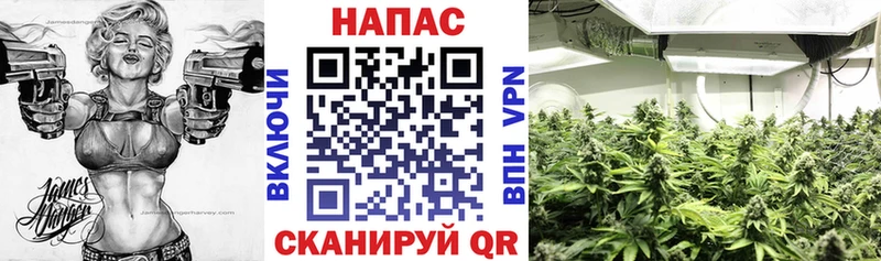 Как найти наркотики Остров Гашиш A-PVP Амфетамин Кокаин Меф мяу мяу