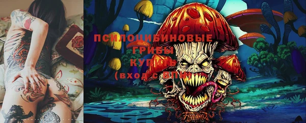 прущая мука Арсеньев