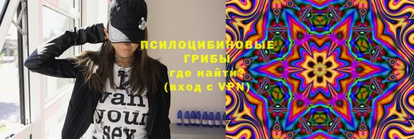прущая мука Арсеньев
